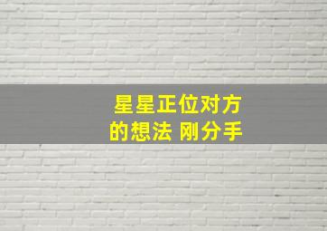 星星正位对方的想法 刚分手